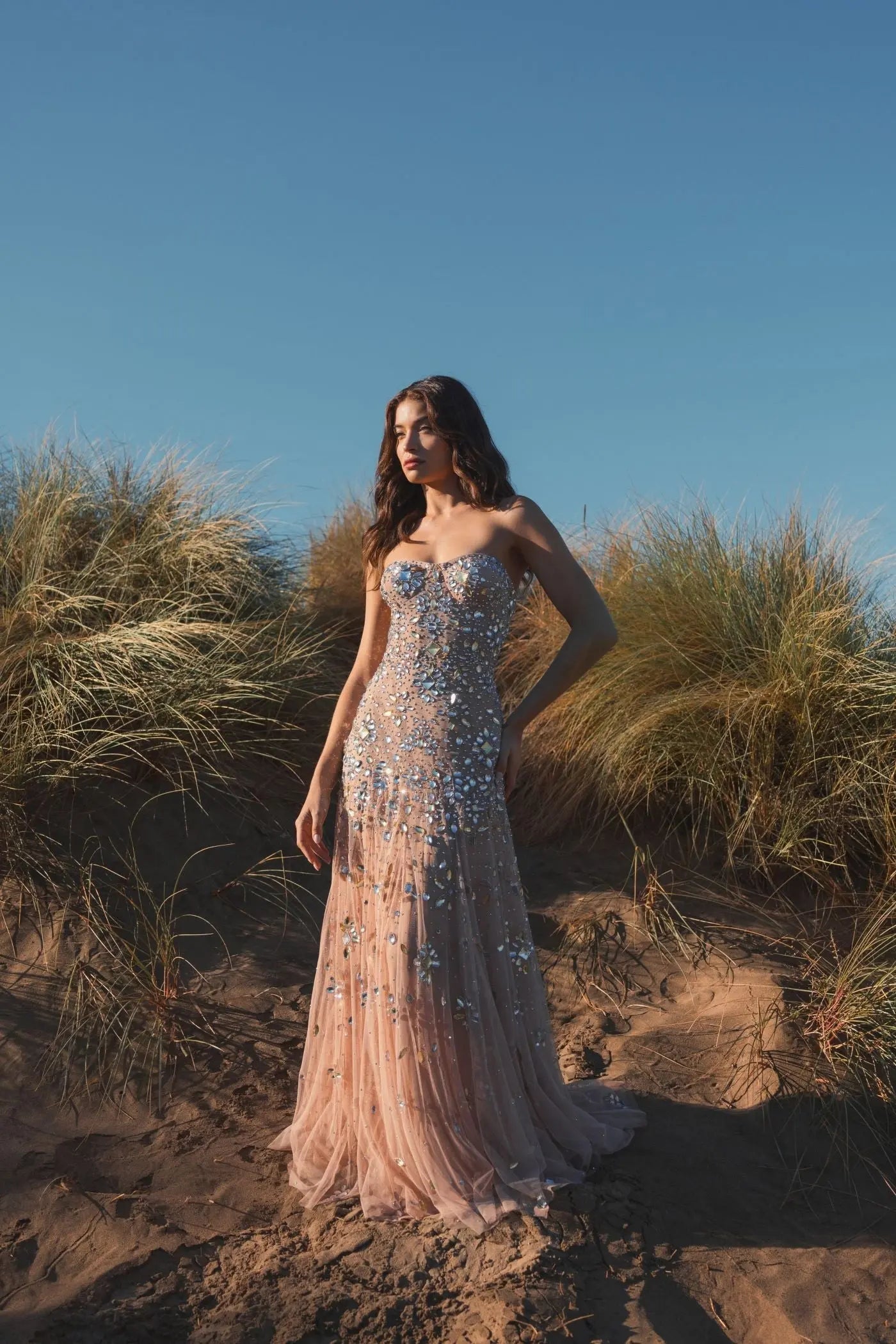 Pink Strapless Sweetheart Embellished Net Gown