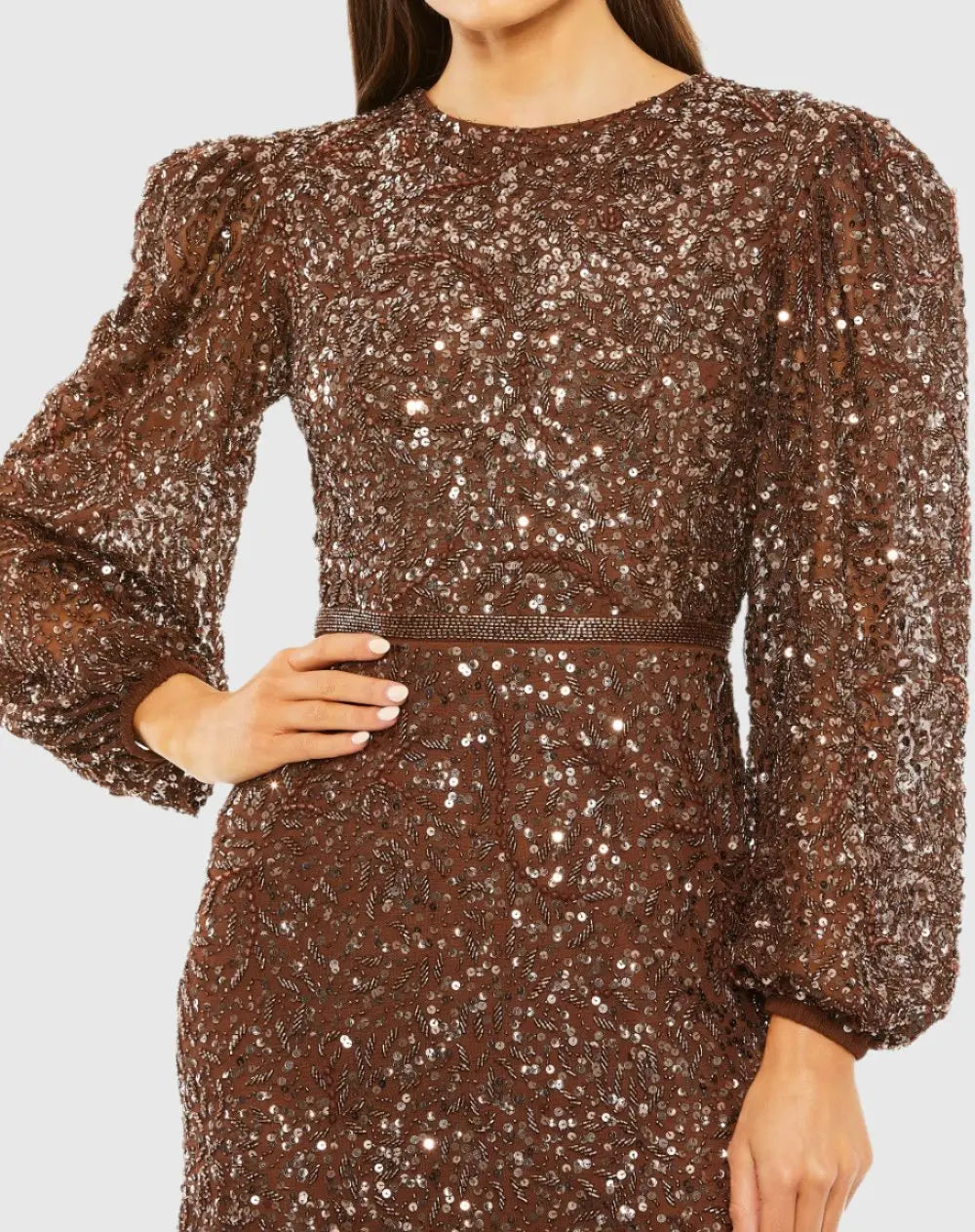 Brown Sheer Long Sleeve Embellished Gown